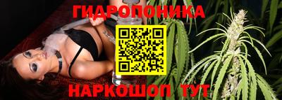 СК Кунгур